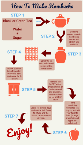 How to Make Kombucha