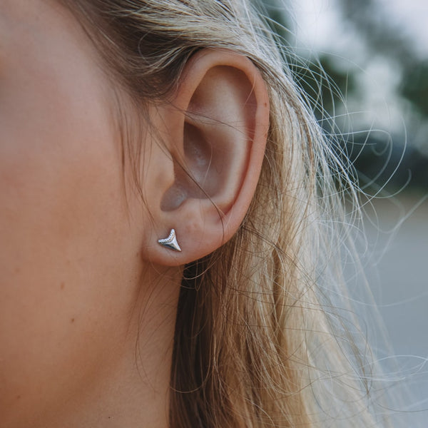 shark tooth earring studs