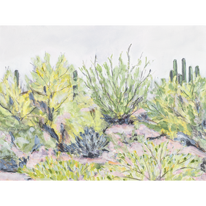 "Desert Plants" Horizontal Canvas Print