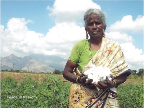 Lady farmer holding organic desi cotton harvested freshly
