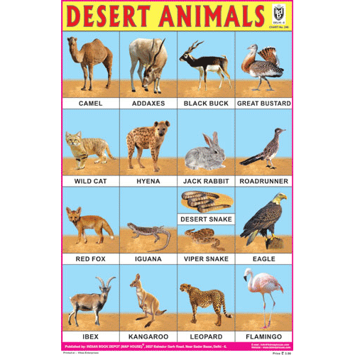 DESERT ANIMALS CHART SIZE 12X18 (INCHS) 300GSM ARTCARD