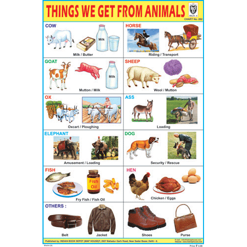 THINGS WE GET FROM ANIMALS CHART SIZE 12X18 (INCHS) 300GSM ARTCARD