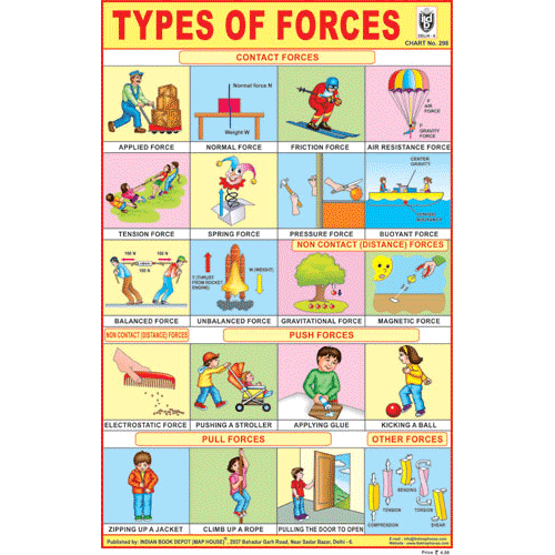 TYPES OF FORCES CHART SIZE 12X18 (INCHS) 300GSM ARTCARD