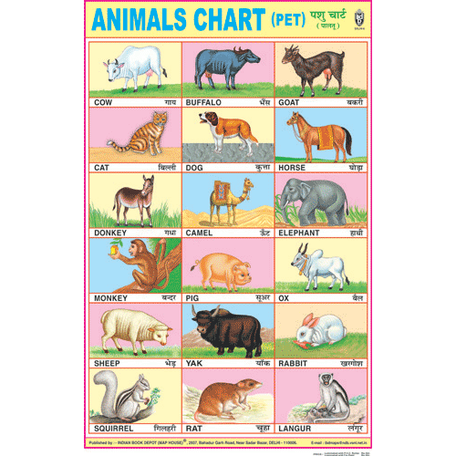 Wizard101 Pet Chart