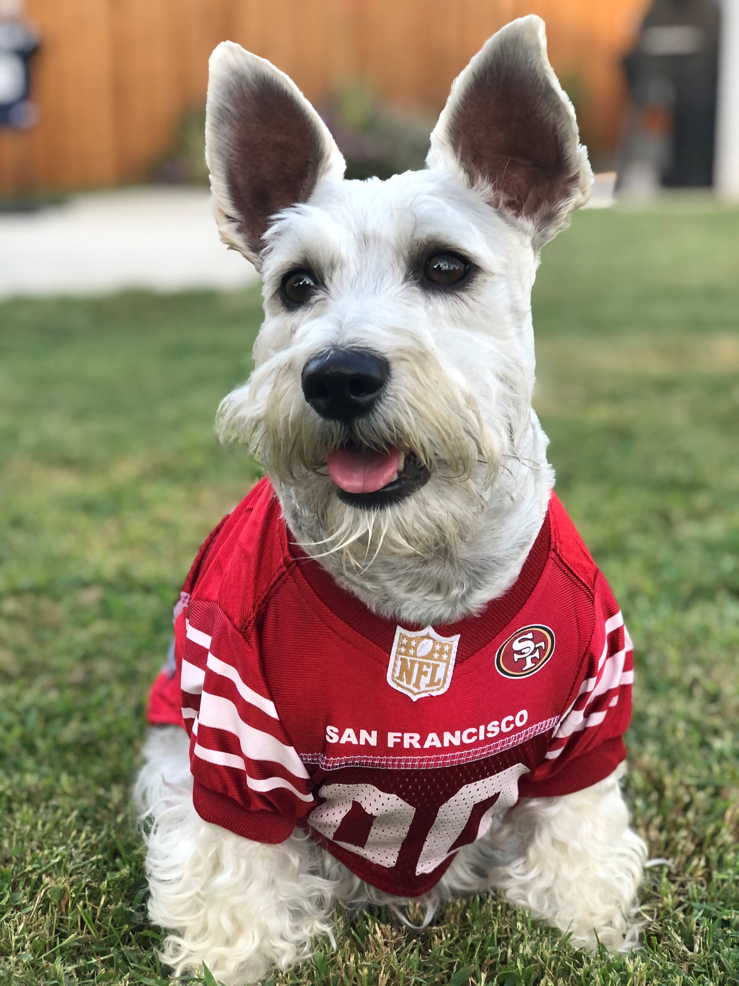 Pets First NFL San Francisco 49ers Collar, Small