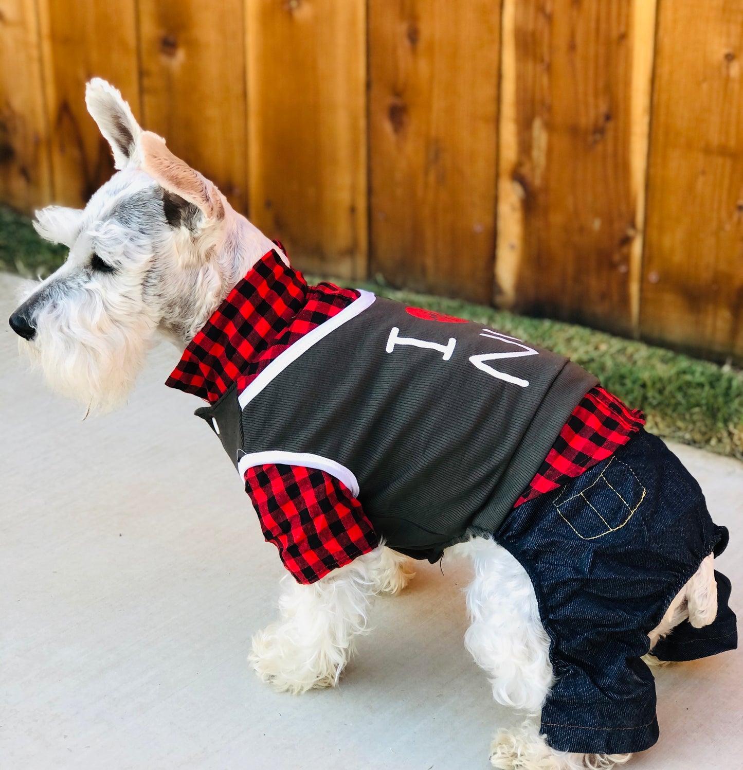School Boy Dog Uniform