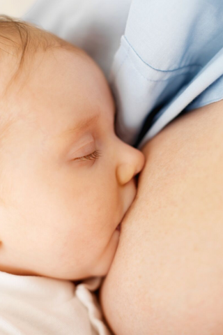 breastfeeding postpartum ovulation