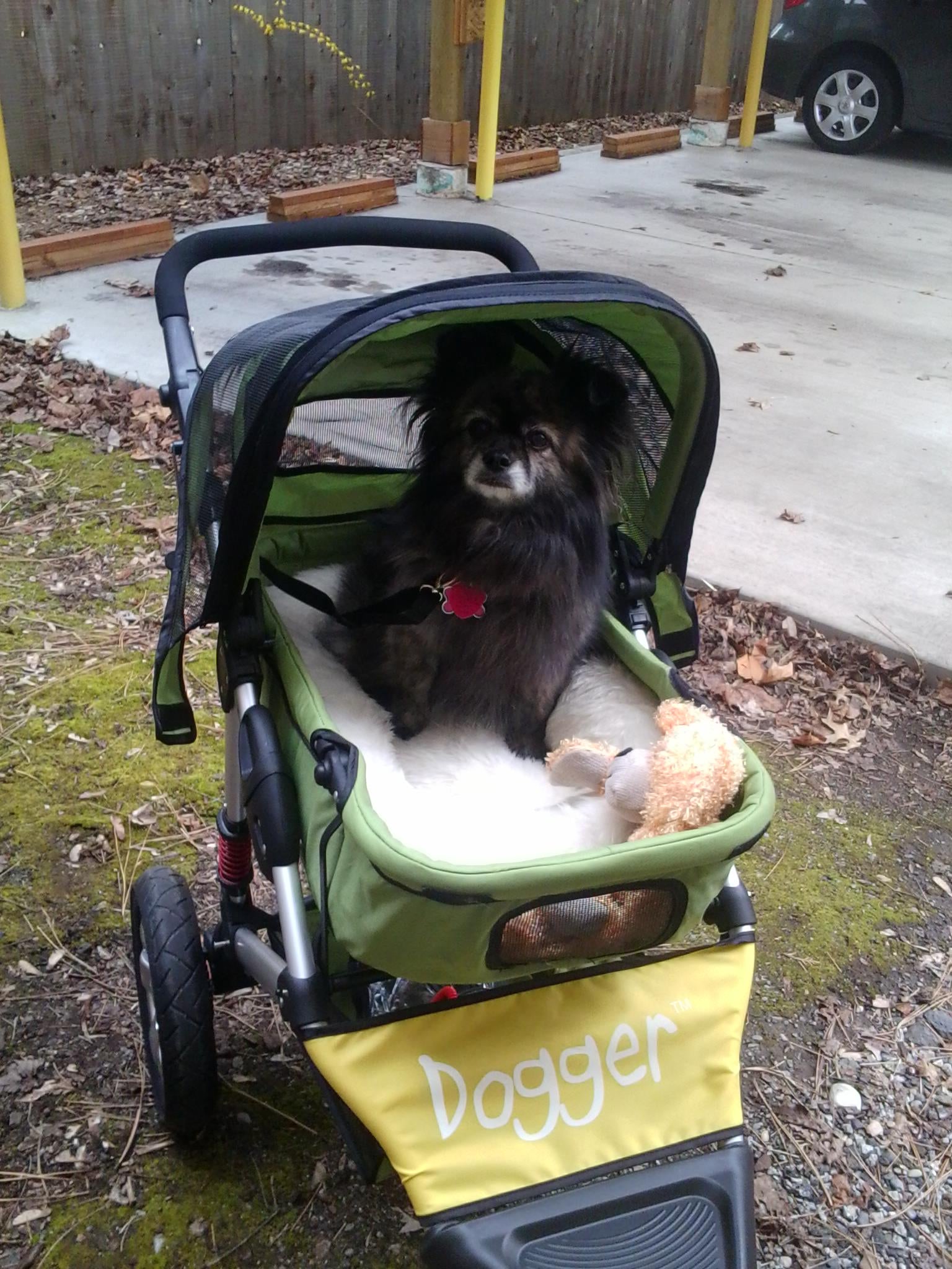 Dogger dog stroller