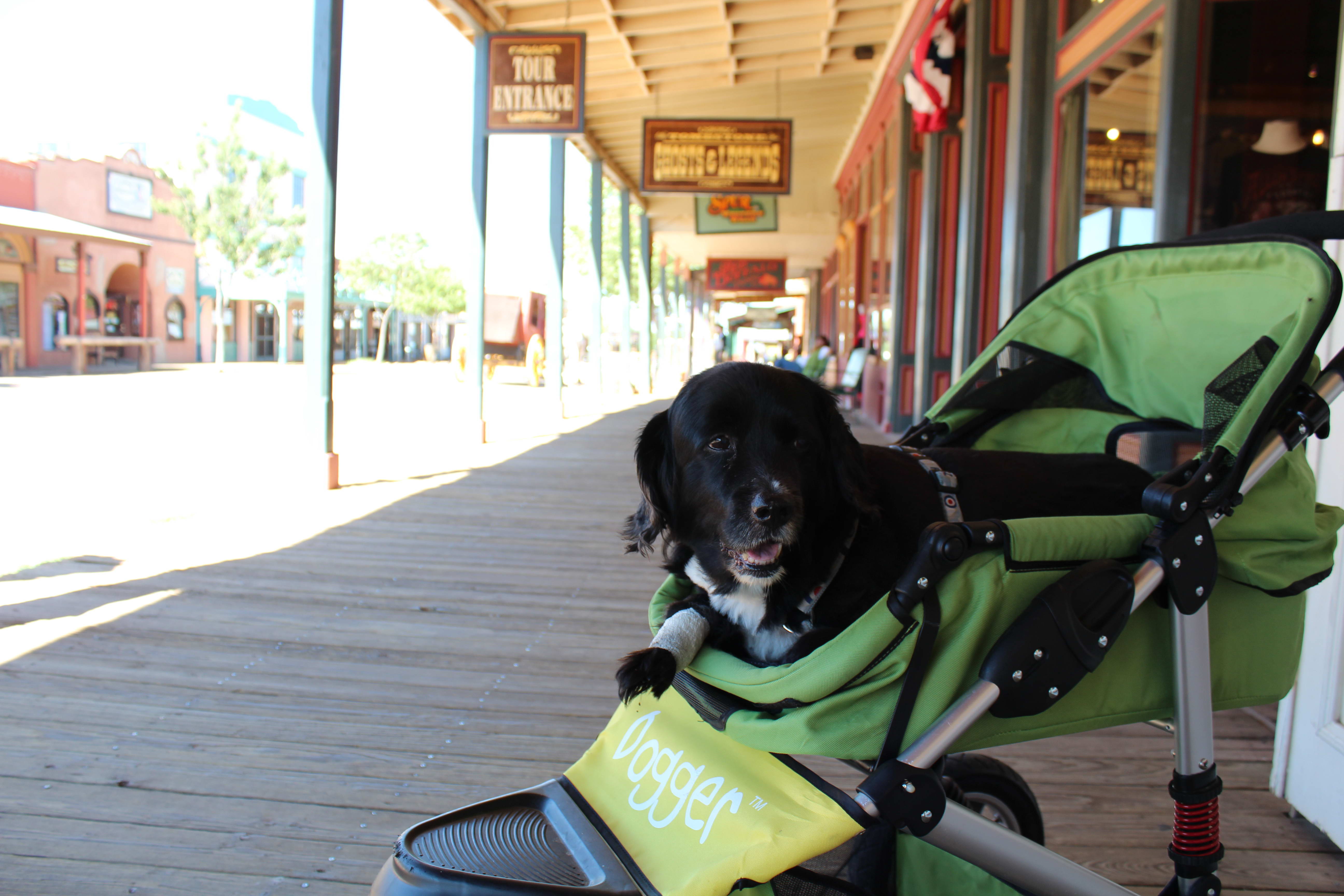 Dogger dog stroller