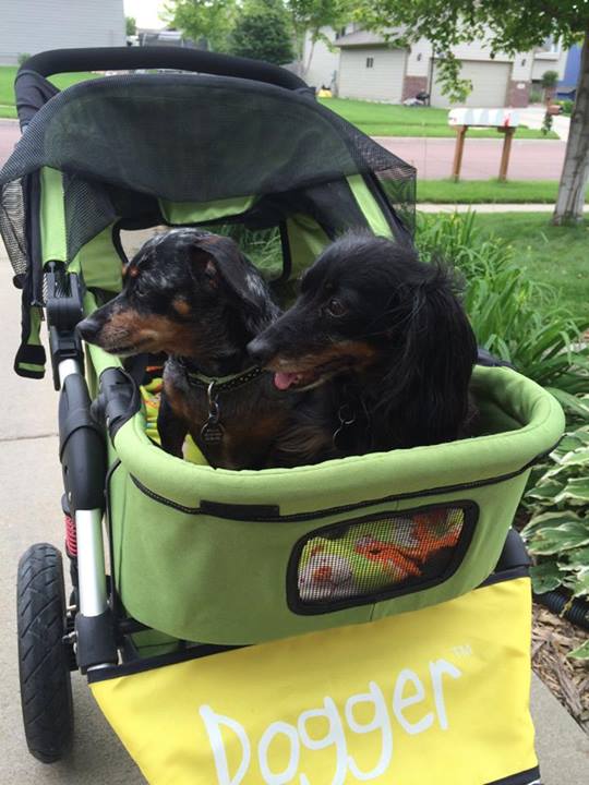 Dogger dog stroller