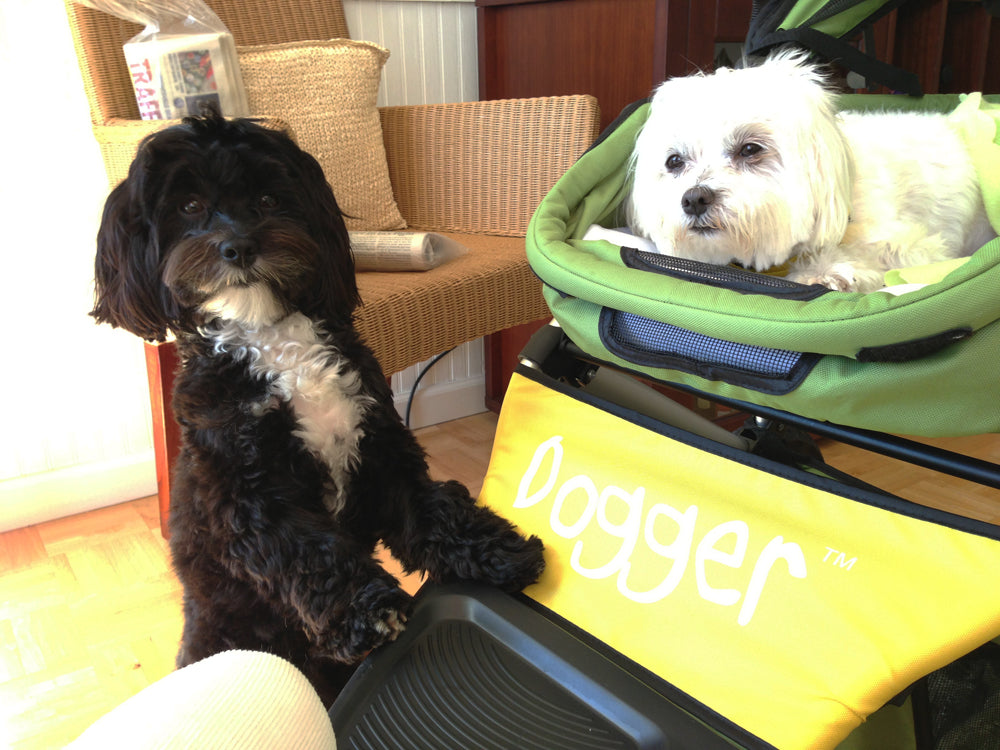 Dogger dog stroller