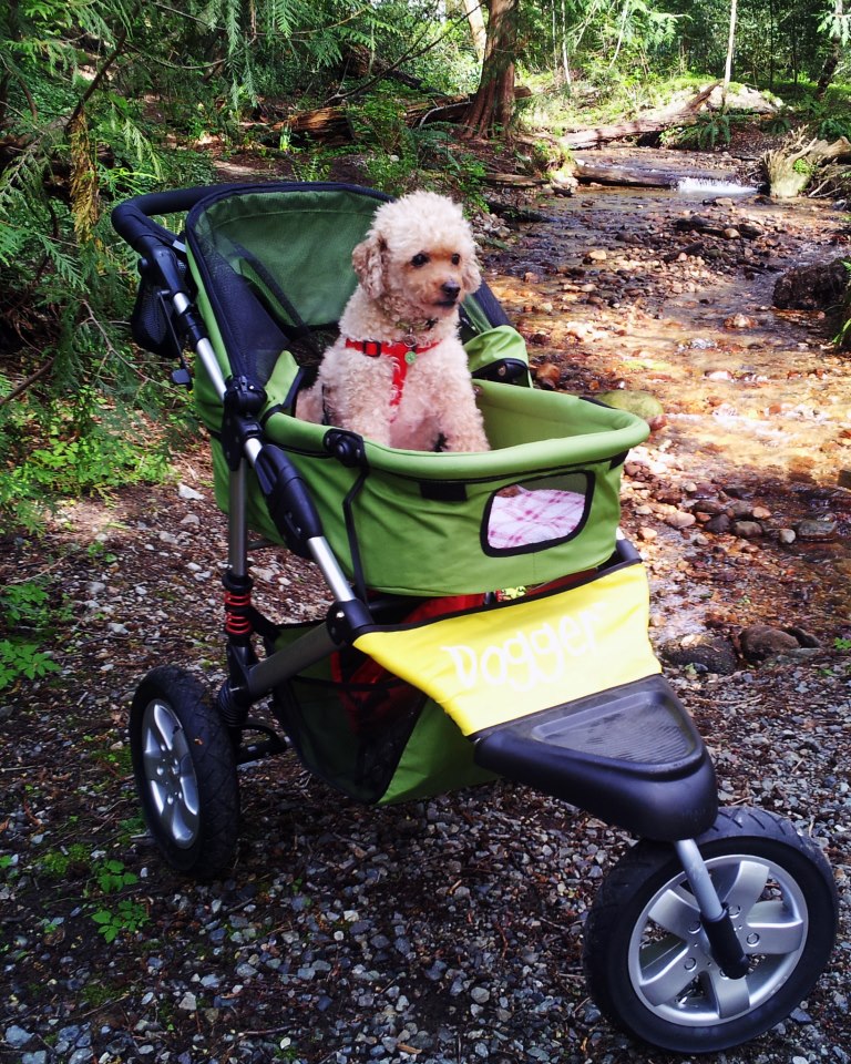 Dogger dog stroller