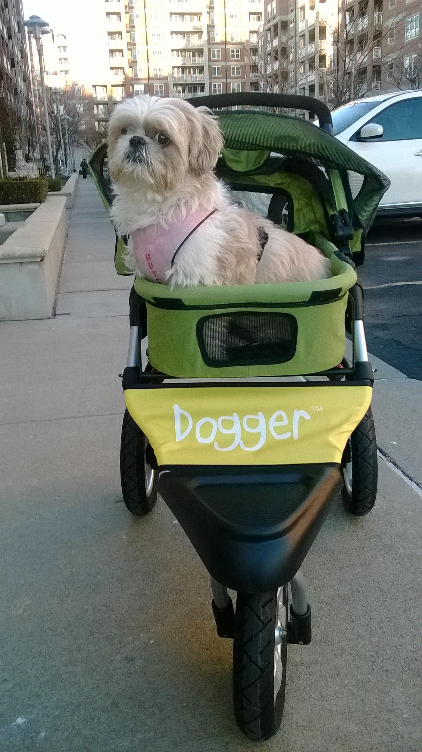 Dogger stroller