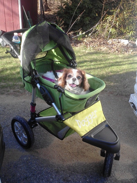 Dogger dog stroller