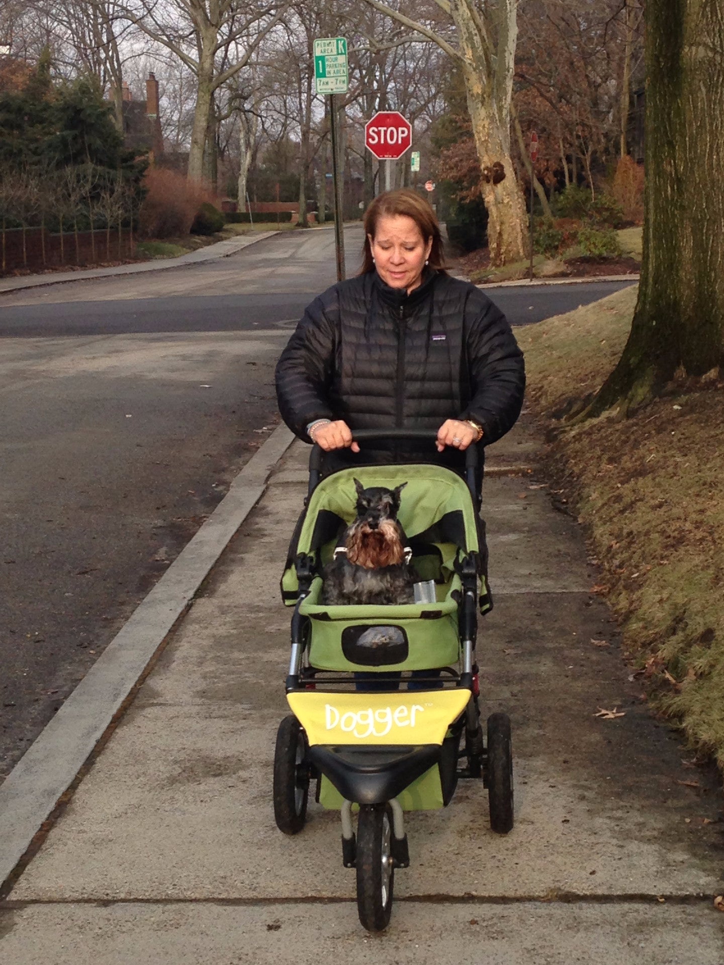 Dogger dog stroller