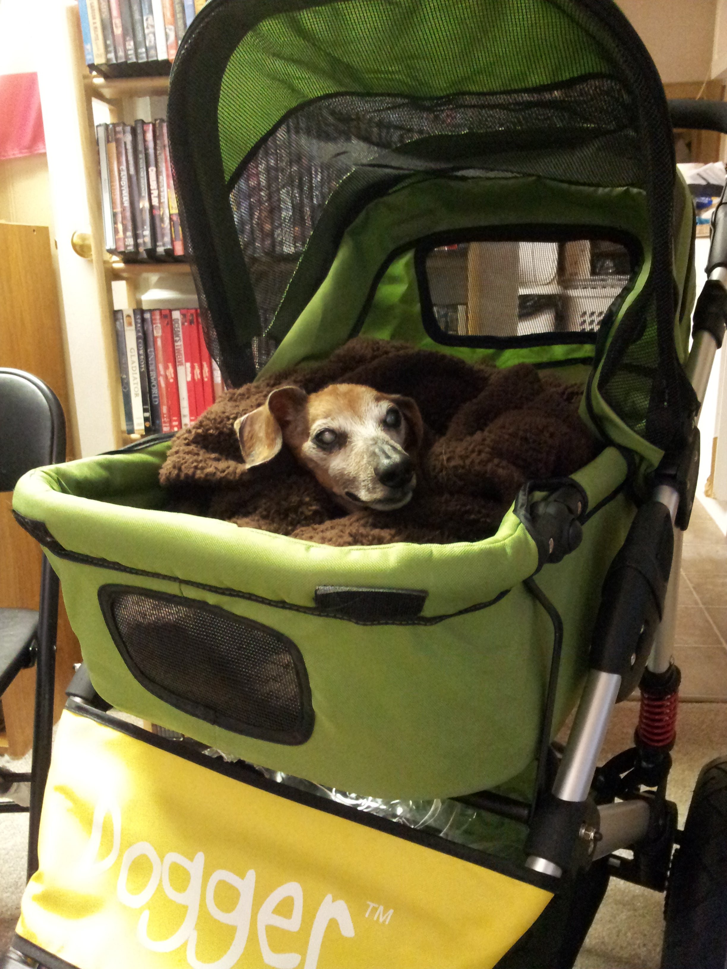 Dogger stroller