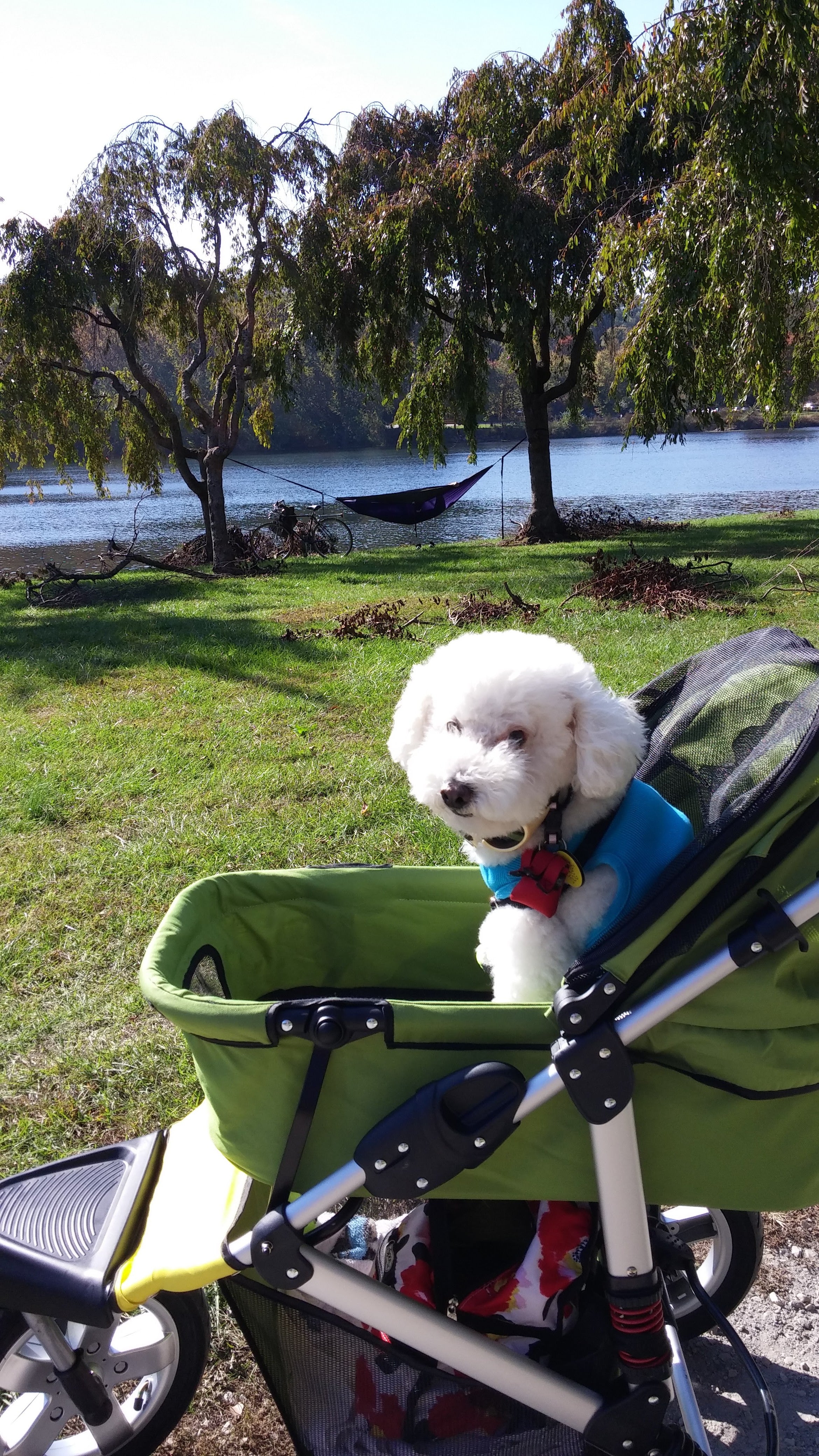 Dogger dog stroller