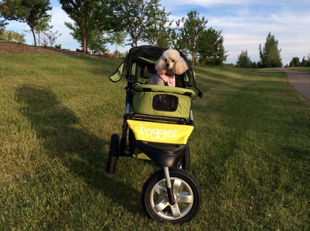 Dogger stroller