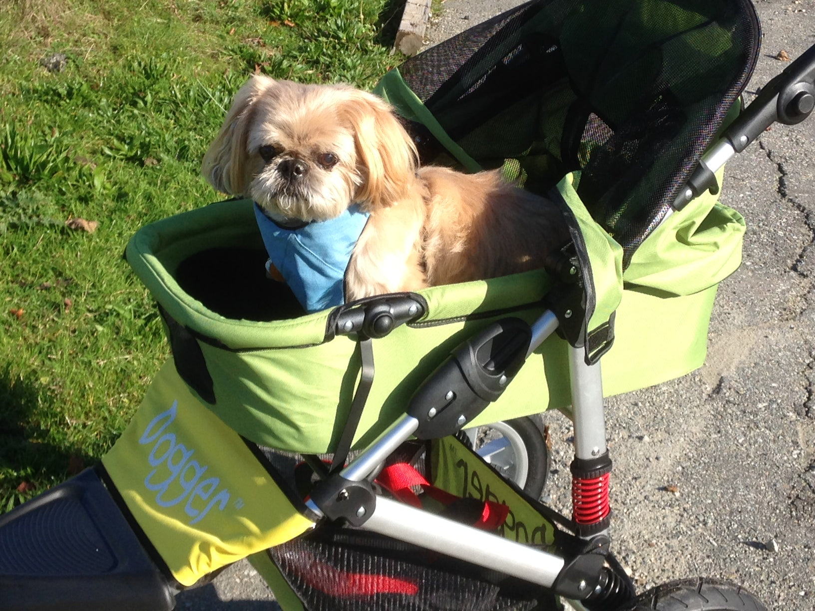 Dogger dog stroller