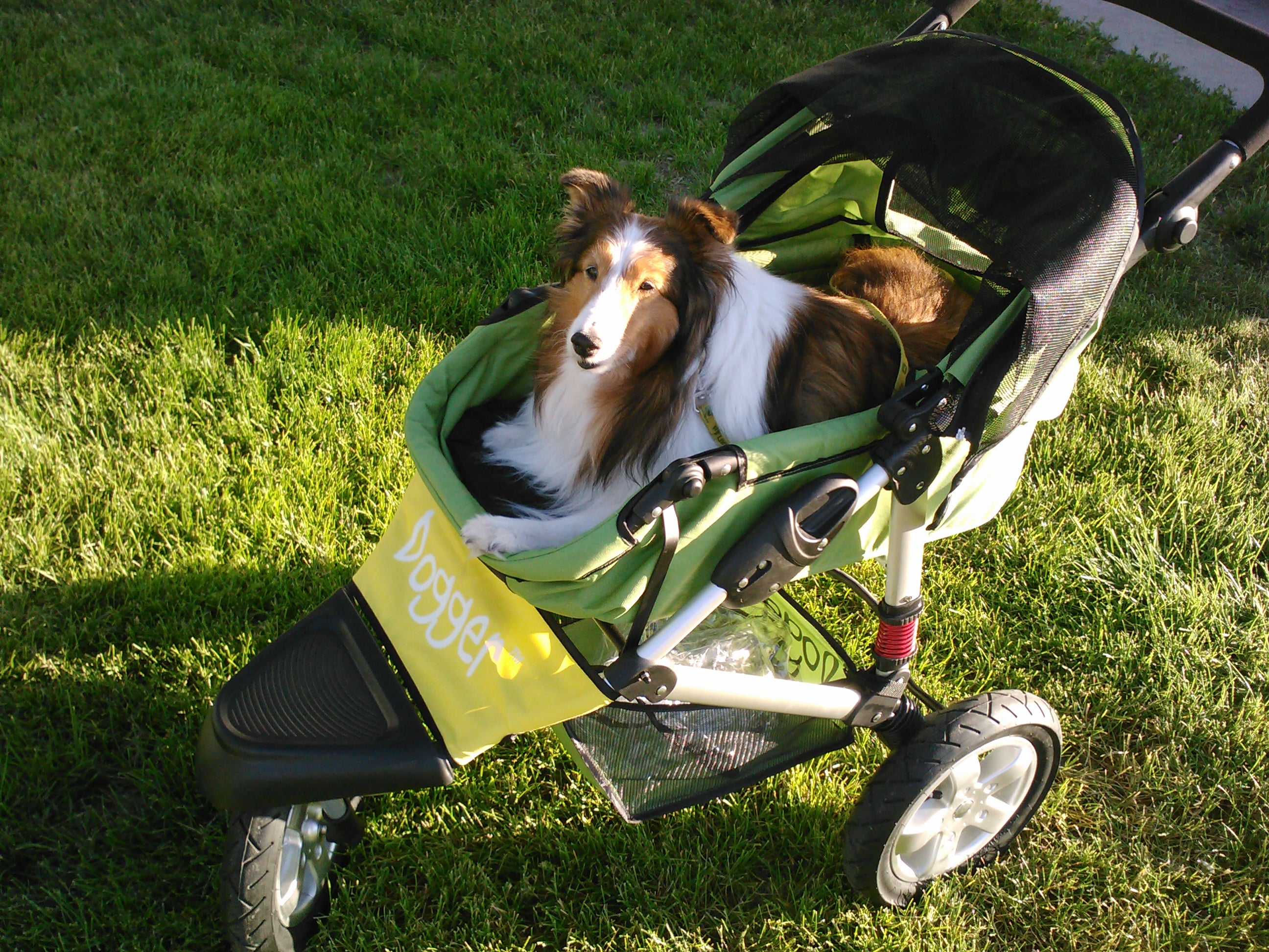 Dogger dog stroller