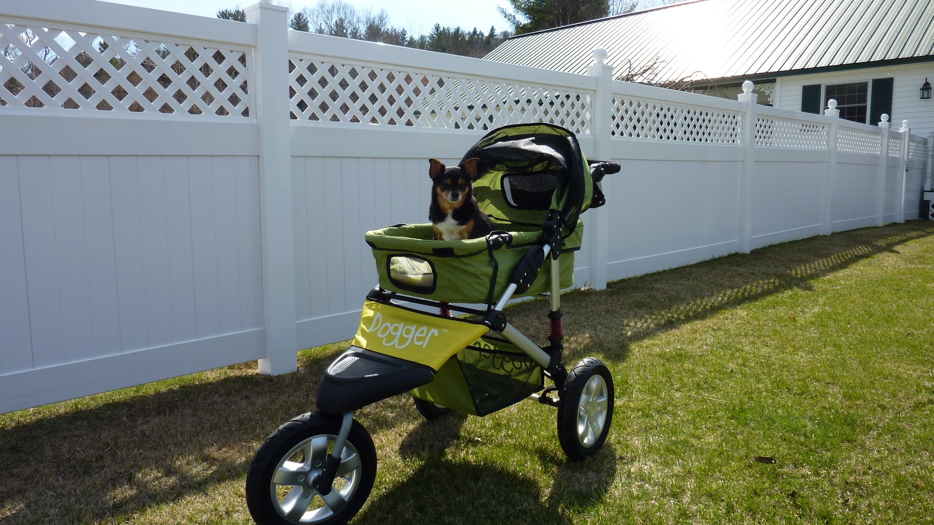 Dogger dog stroller