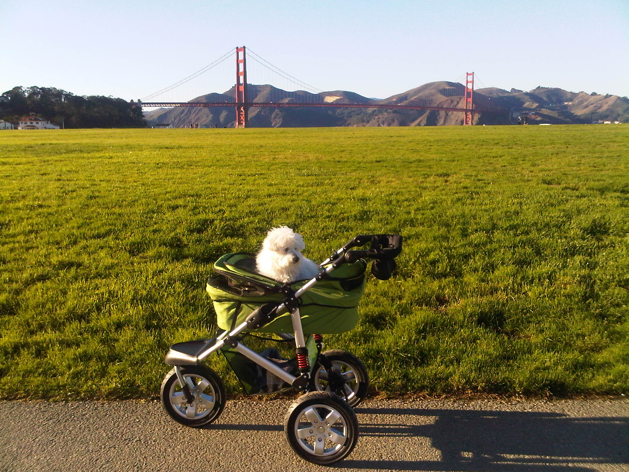 Dogger stroller