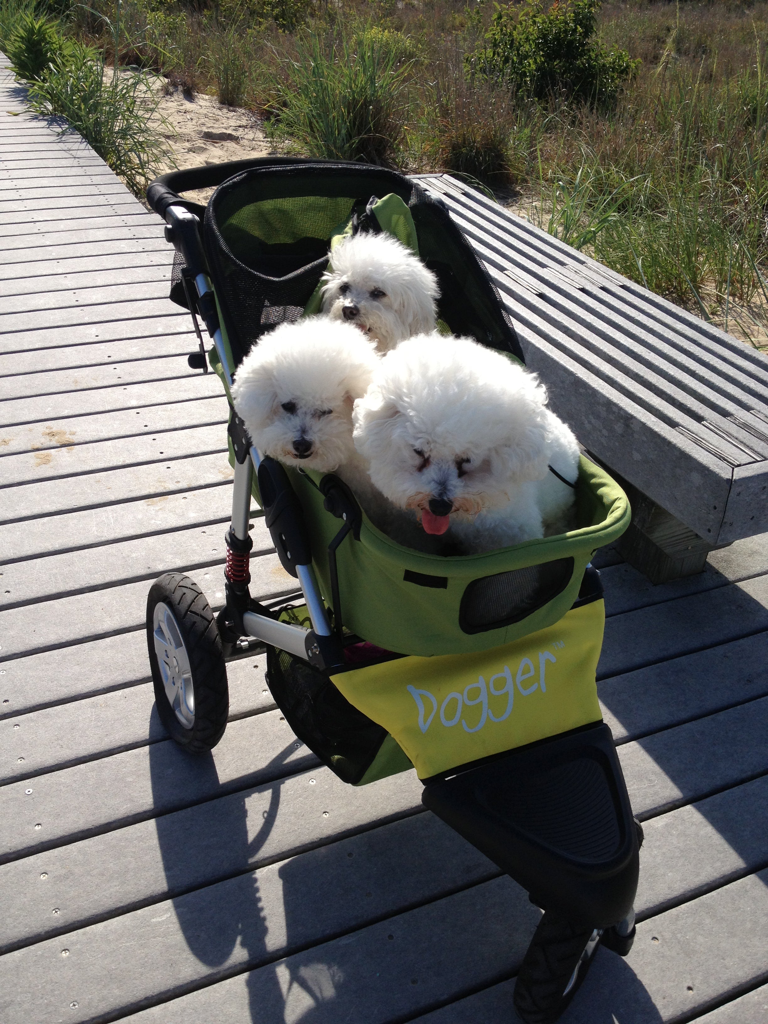 Dogger stroller