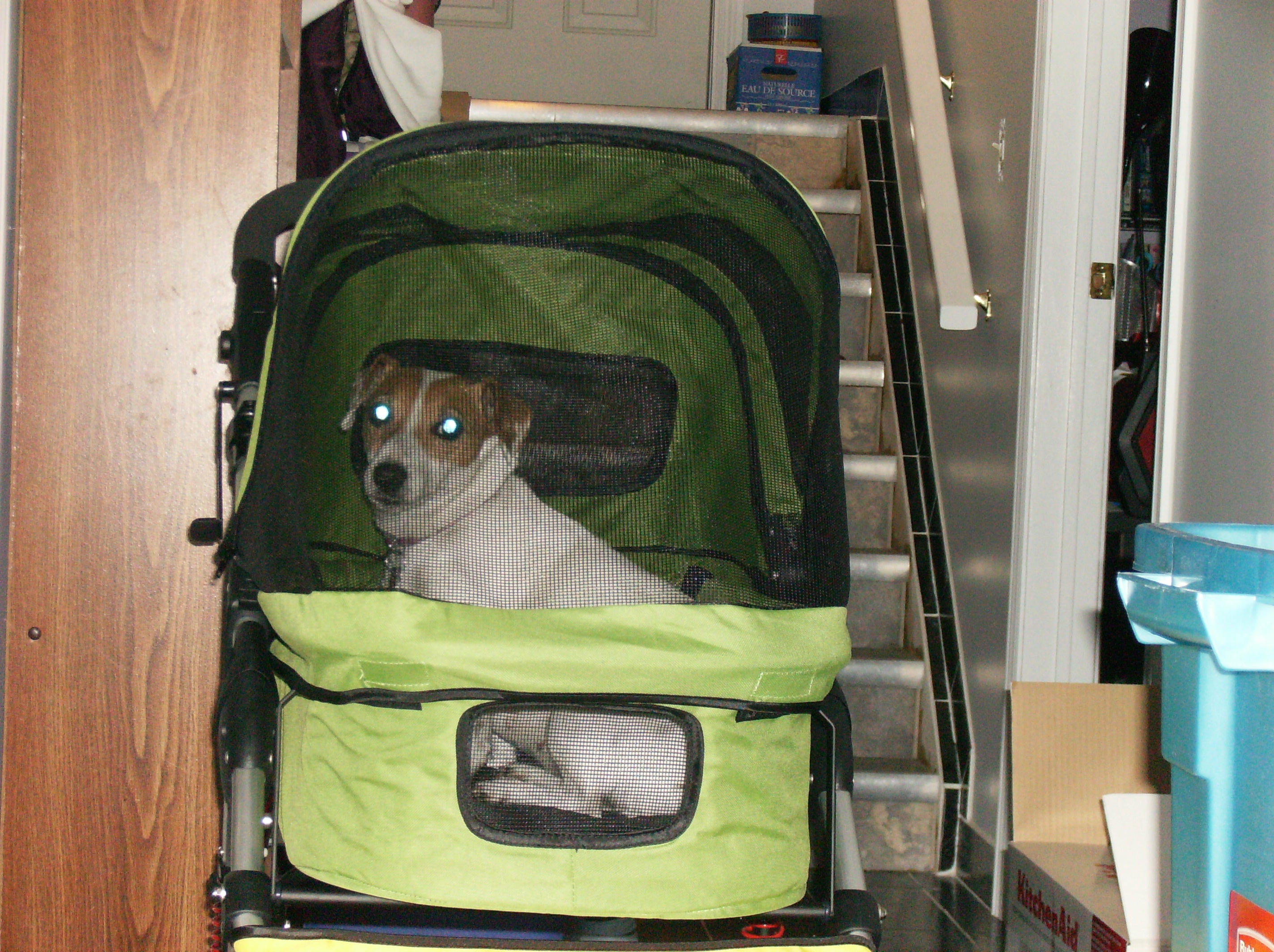 Dogger stroller