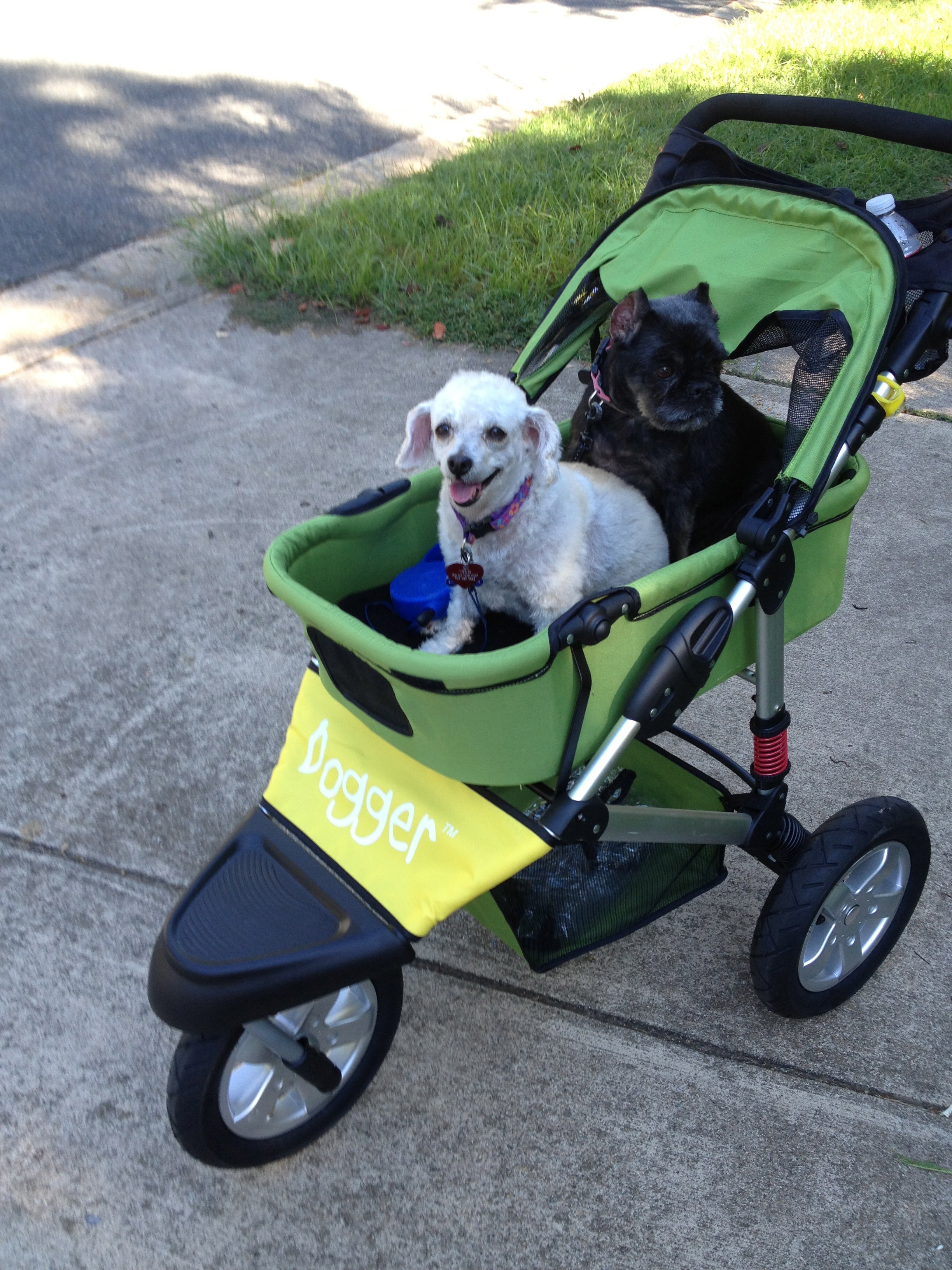 Dogger dog stroller