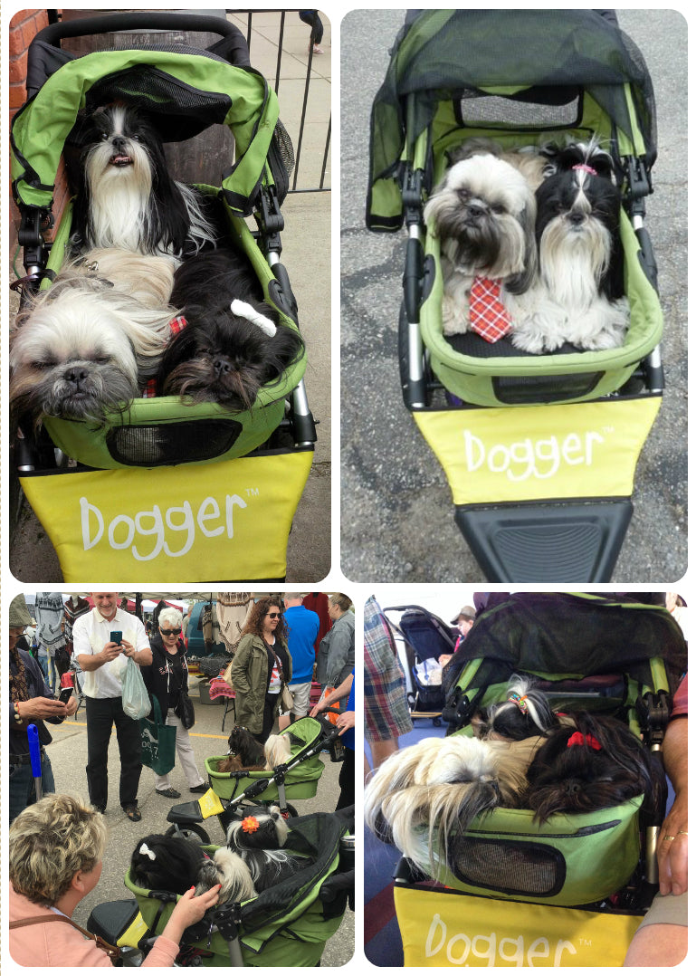 Dogger stroller