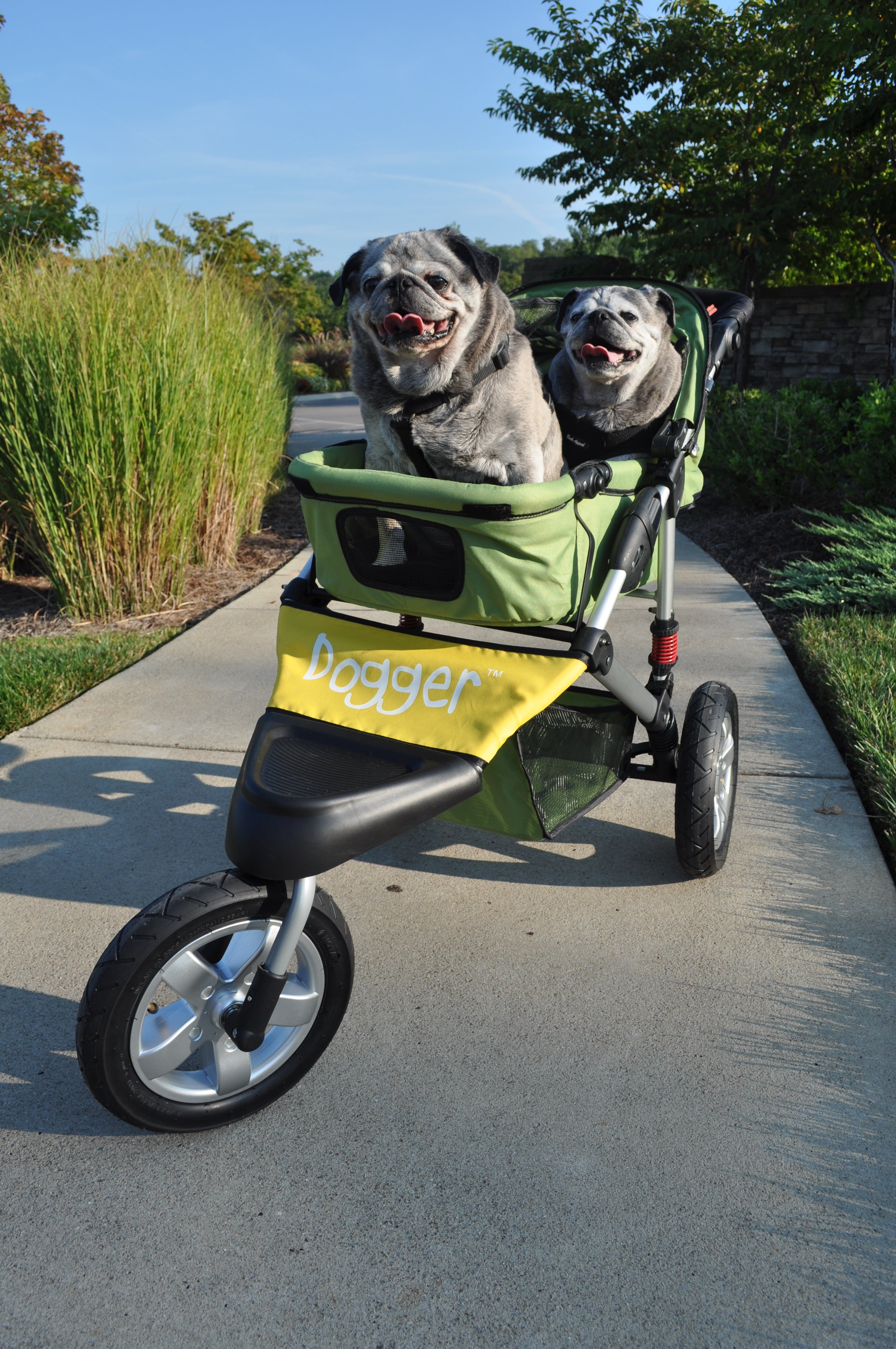 Dogger dog stroller