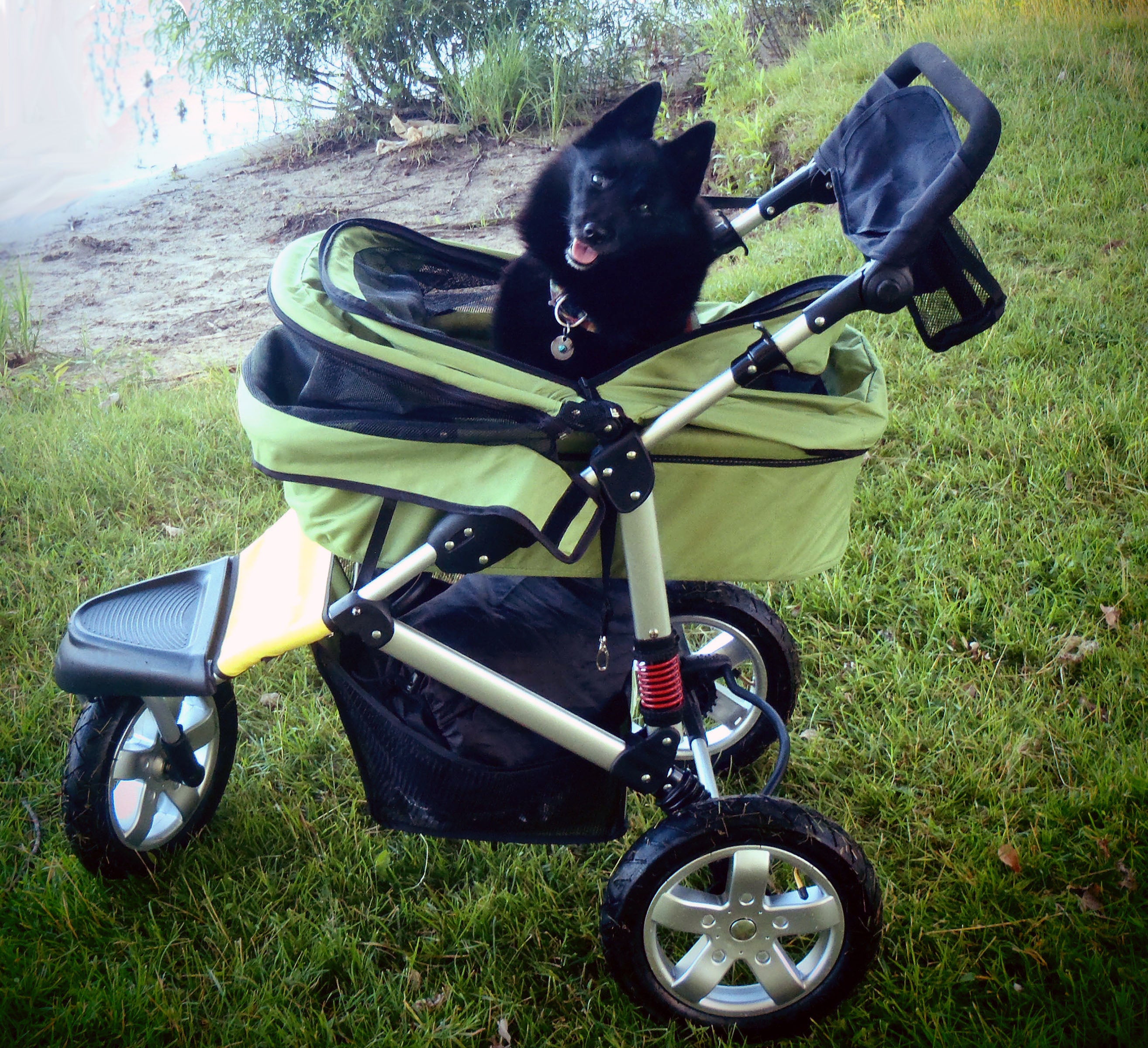 Dogger dog stroller