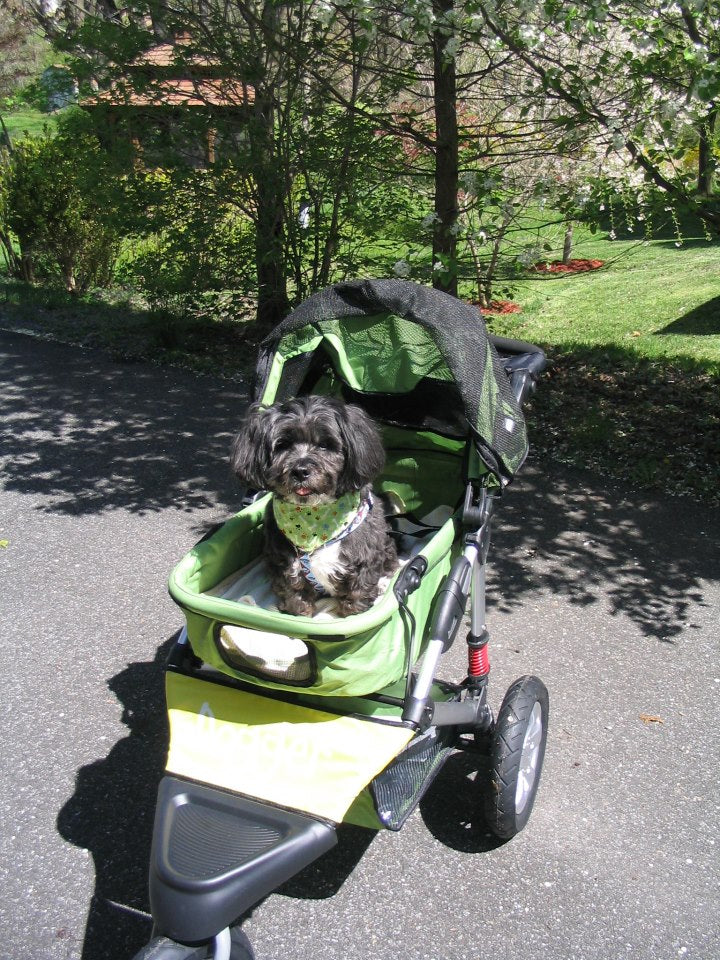 Dogger dog stroller