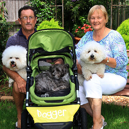 Happy Tails - Ollie in his Dogger Stroller