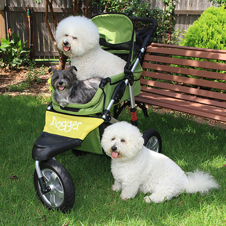 Happy Tails - Ollie in his Dogger Stroller