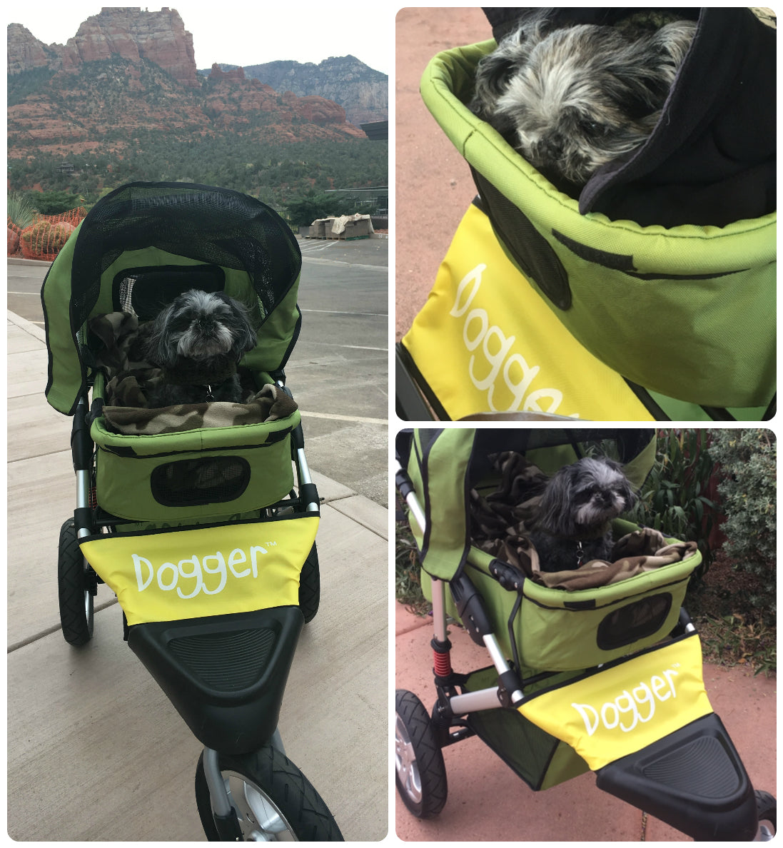 Dogger stroller