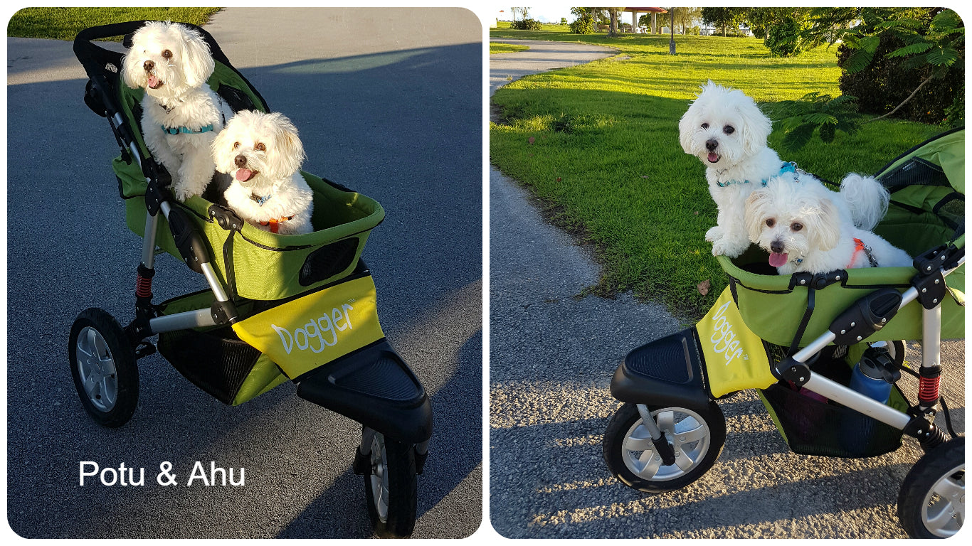 Dogger dog stroller