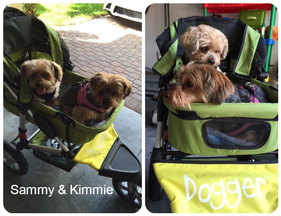 Dogger stroller