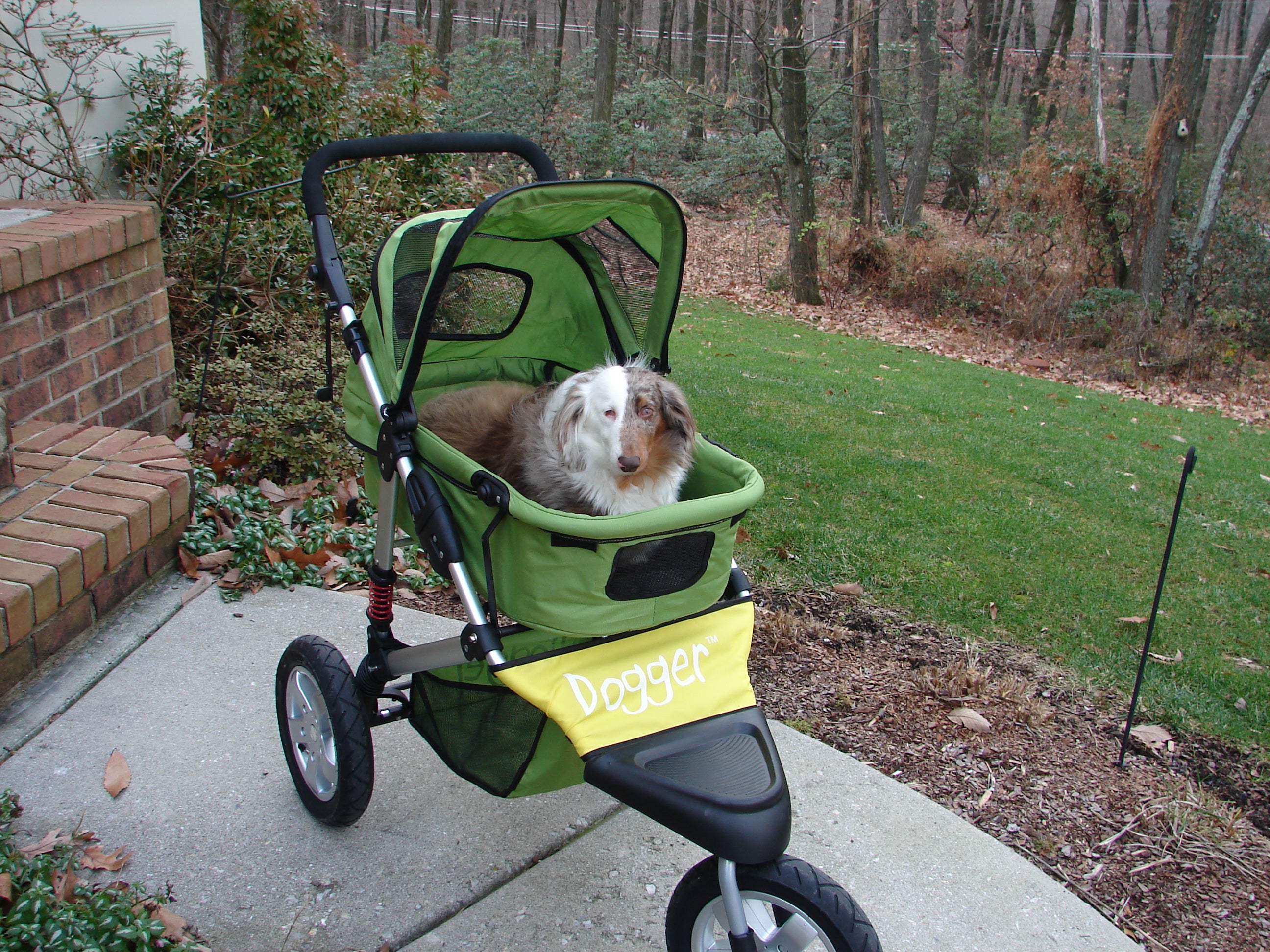 Dogger dog stroller