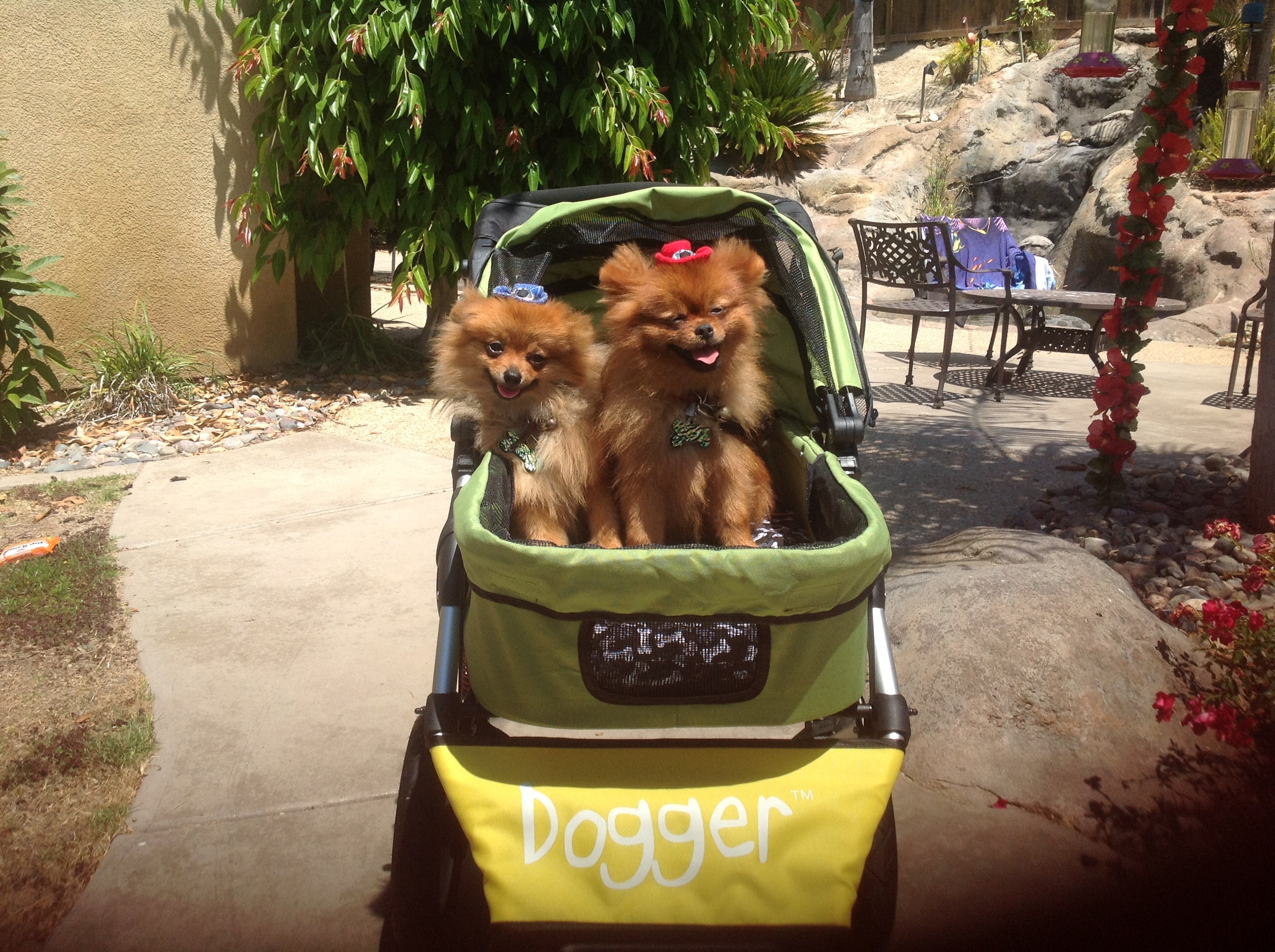 Dogger dog stroller