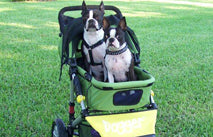 Dogger dog stroller