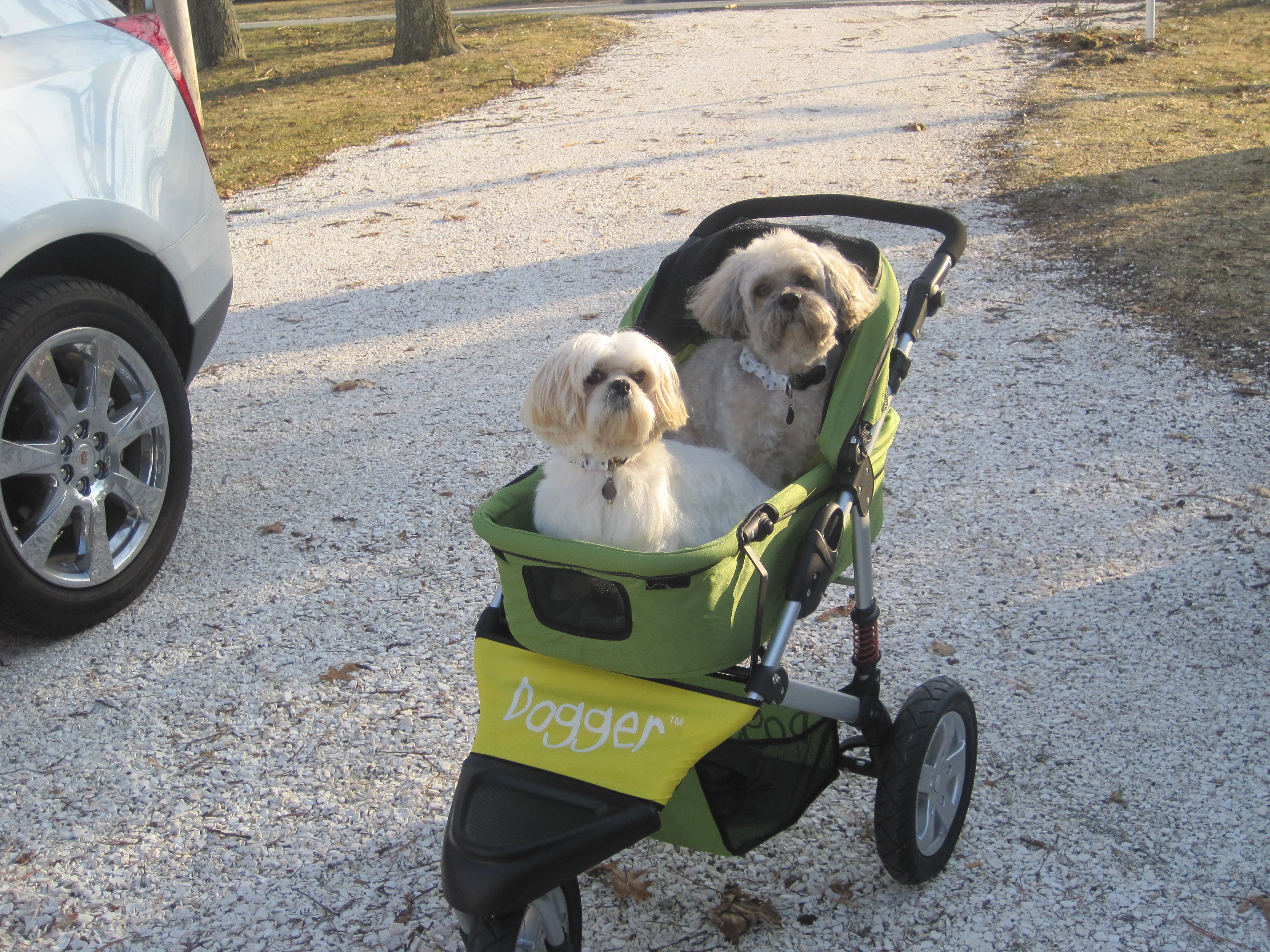 Dogger dog stroller