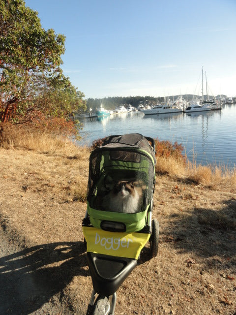 Dogger dog stroller