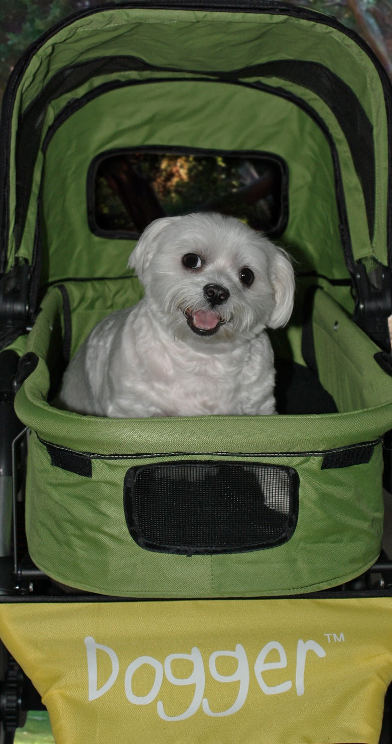 Dogger dog stroller