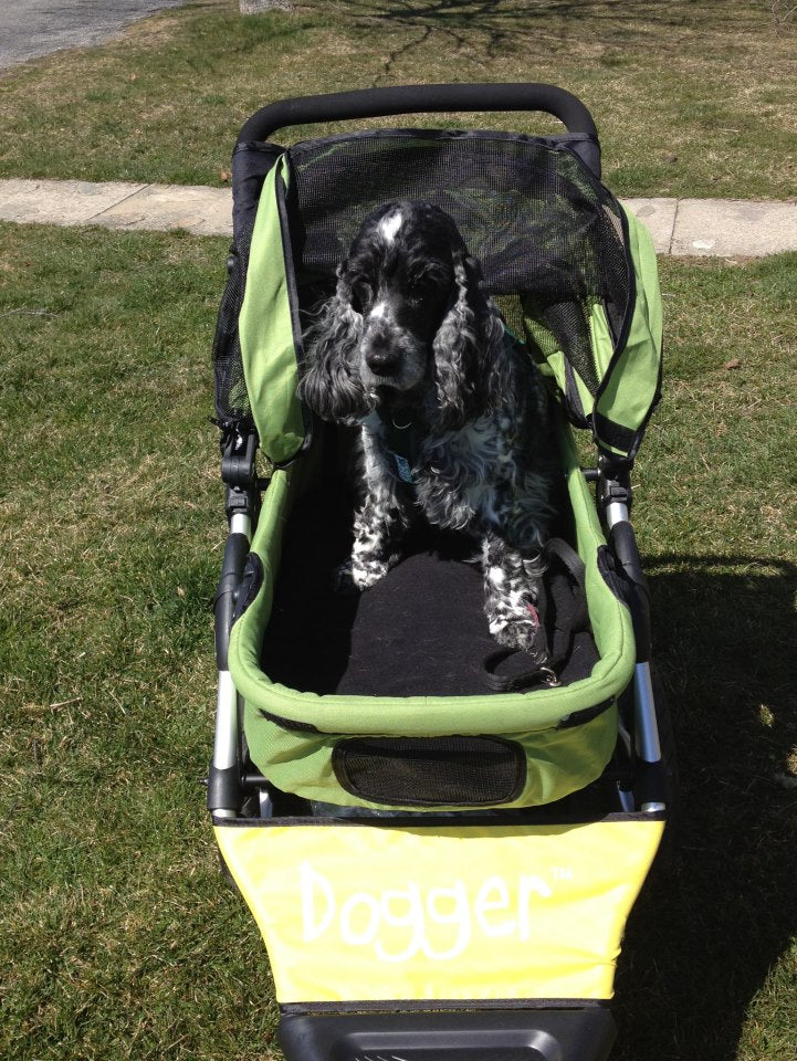 Dogger dog stroller