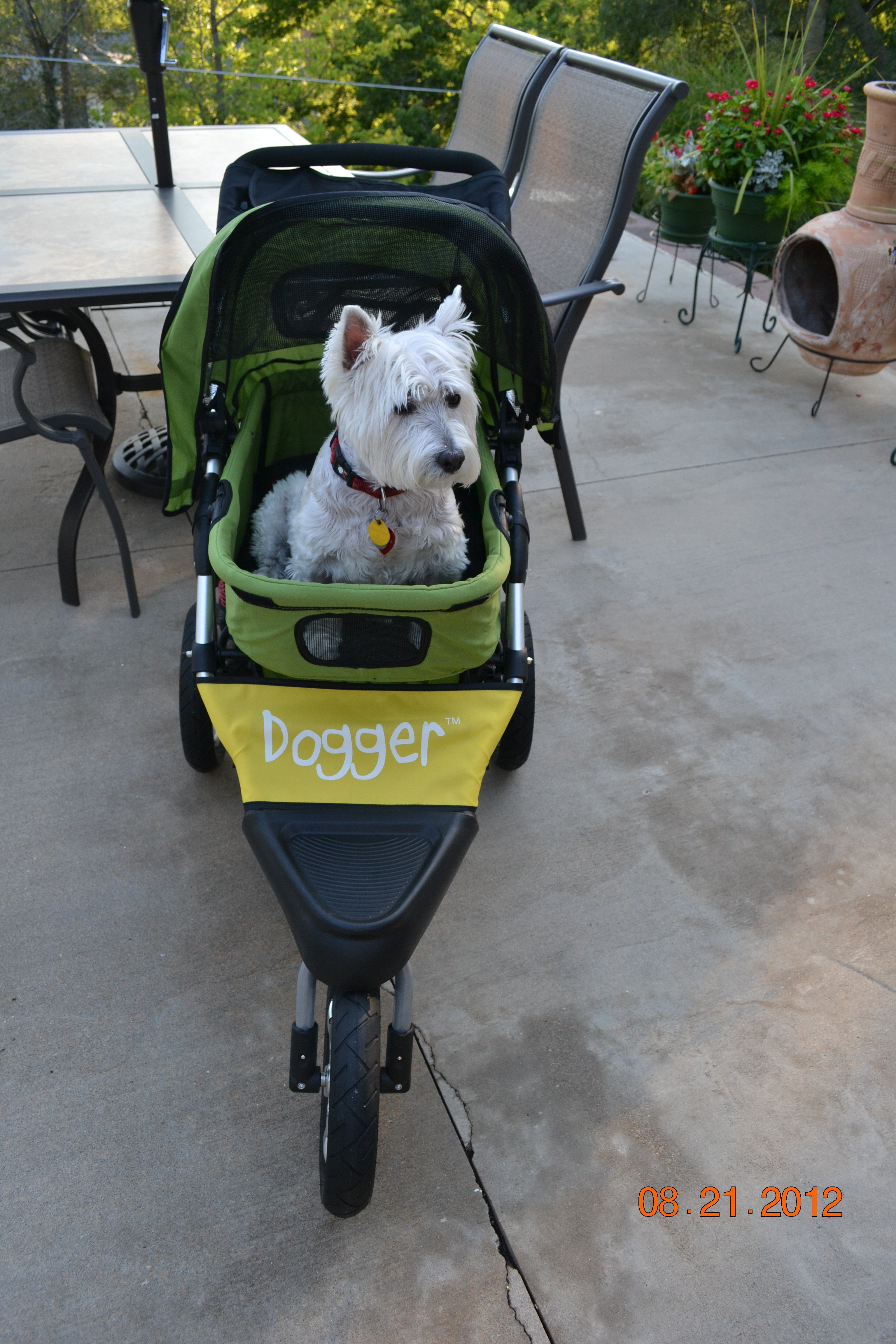 Dogger dog stroller