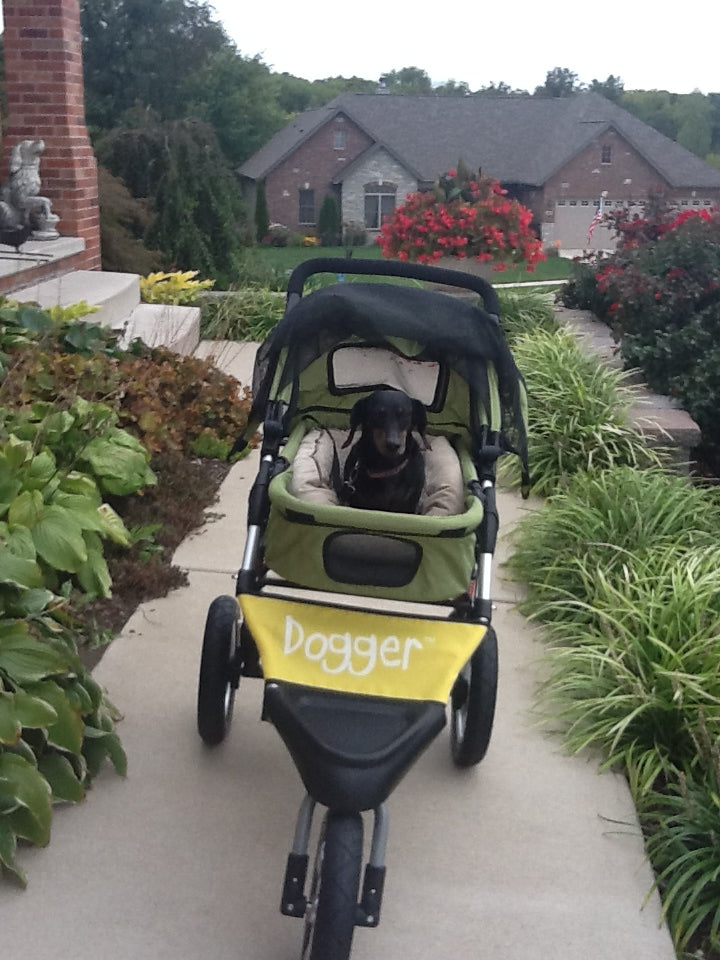 Dogger dog stroller