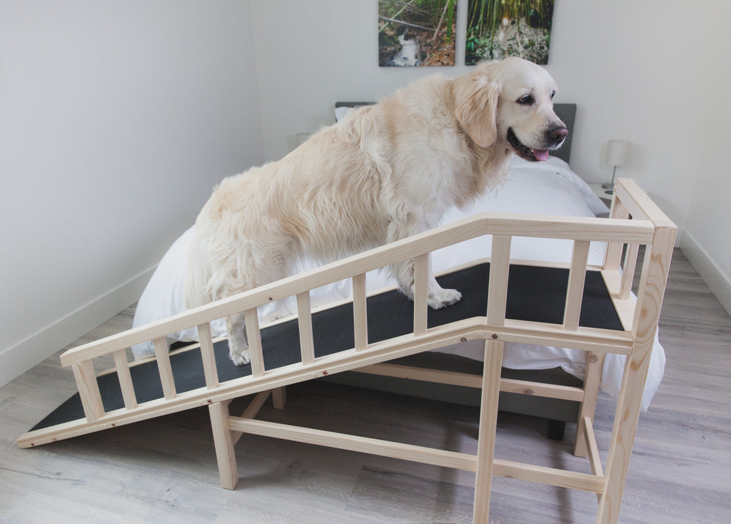 Gentle Rise Dog Bed Ramp