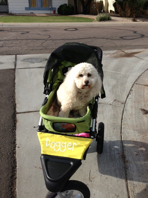 Dogger dog stroller