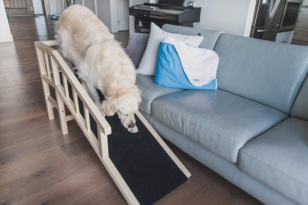 couch ramp